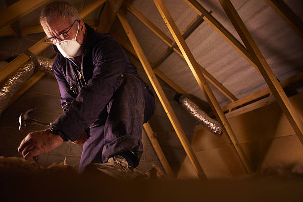 Best Insulation Maintenance and Repair in Oakland, FL